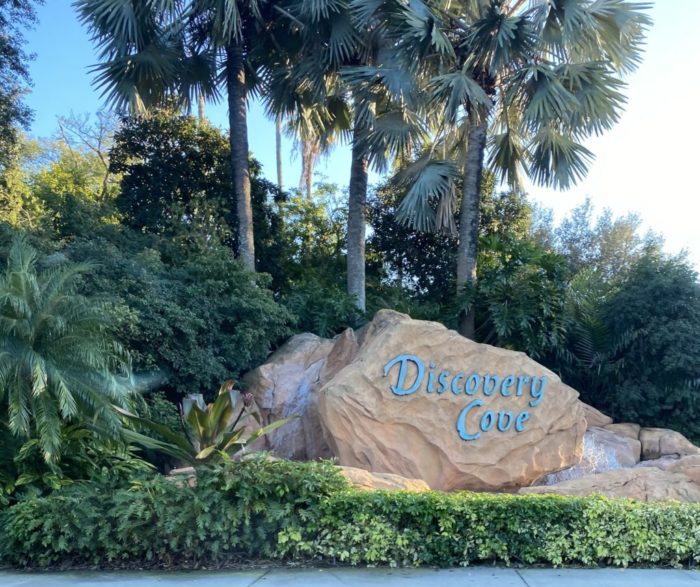 Discovery cove