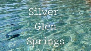 Silver Glen Springs