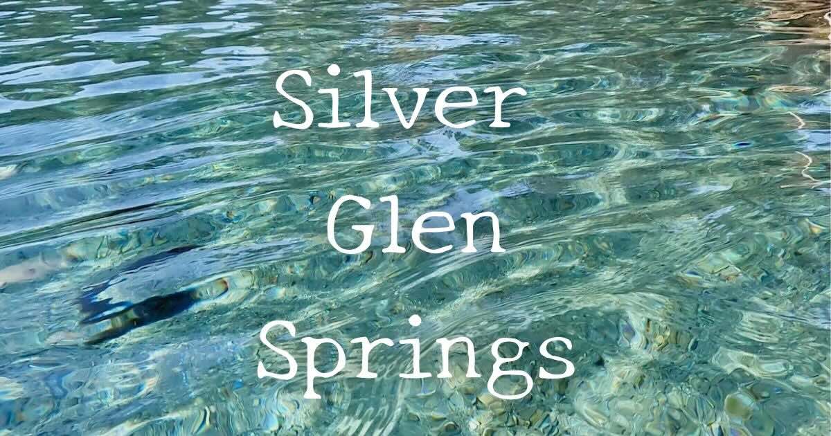 Silver Glen Springs