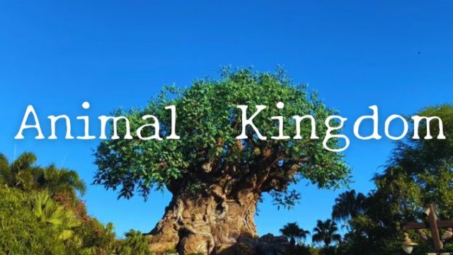 Animal Kingdom Florida