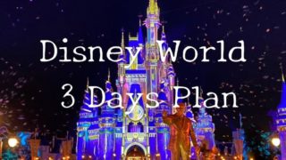 フロリダ・マジックキングダムのシンデレラ城夜景