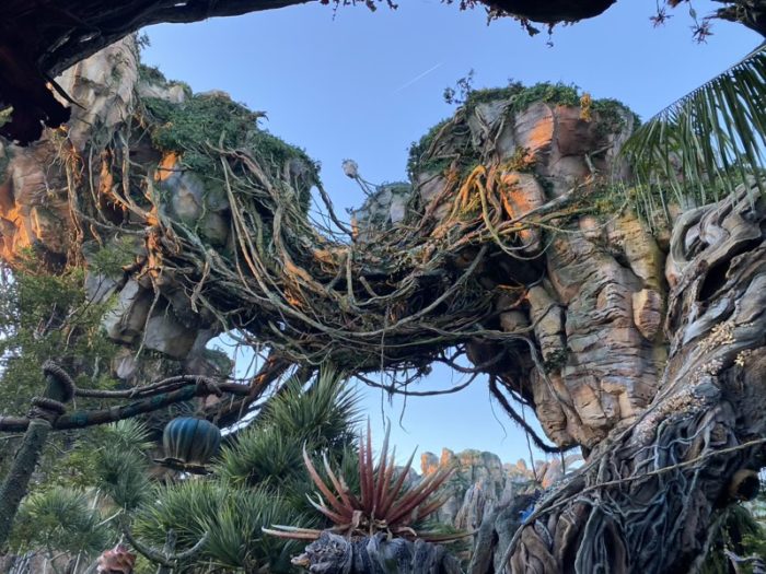 Floating Mountains in Pandora at Animal Kingdom