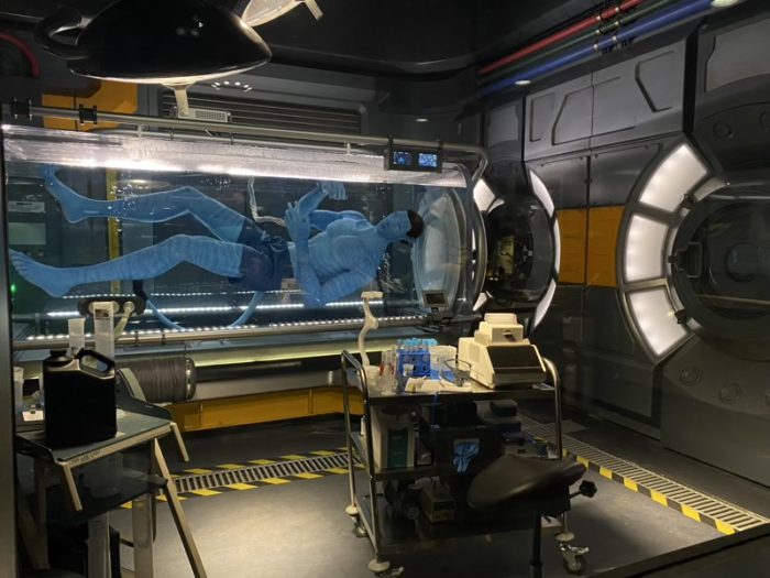 Avatar Flight of Passage Animal Kingdom