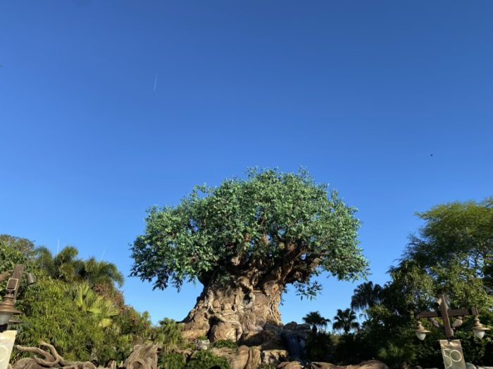 アニマルキングダムのシンボル・ツリーオブライフ