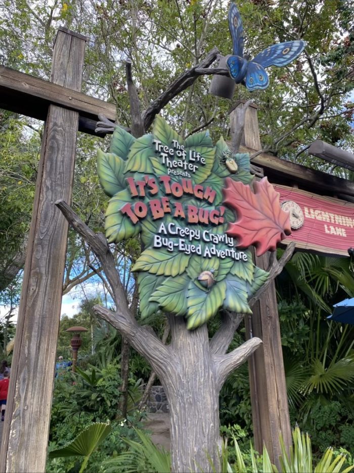 It’s Tough to Be a Bug! Animal Kingdom