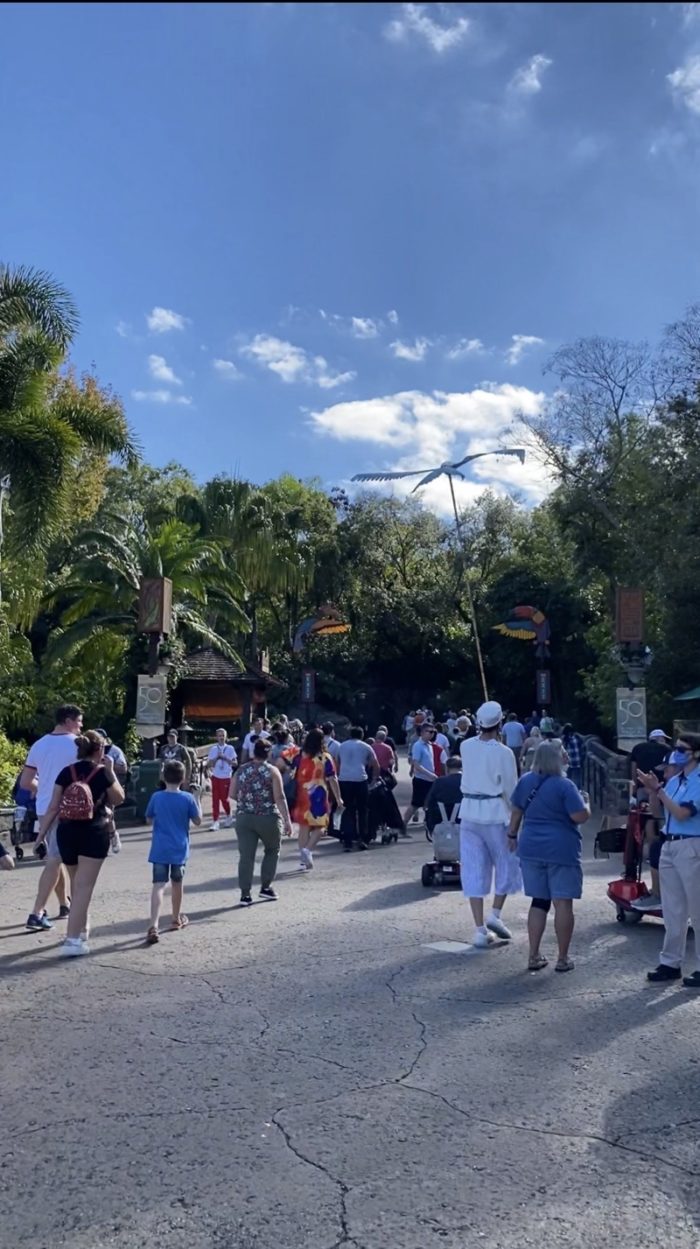 アニマルキングダム Discovery Island Island Mercantile前の通路とパークの雰囲気